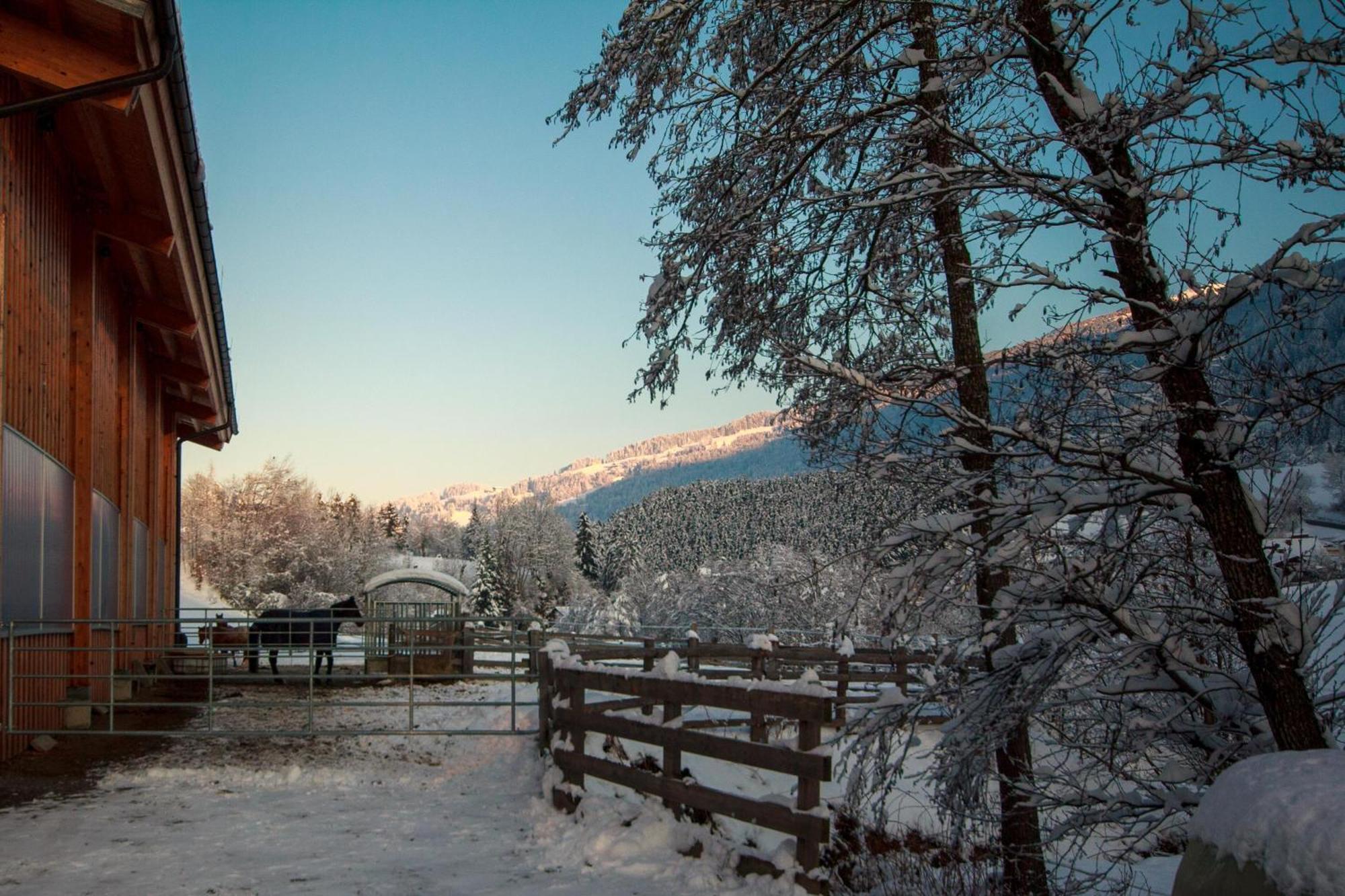 Apartmán Am Bauernhof, Korbingerhof Rinn