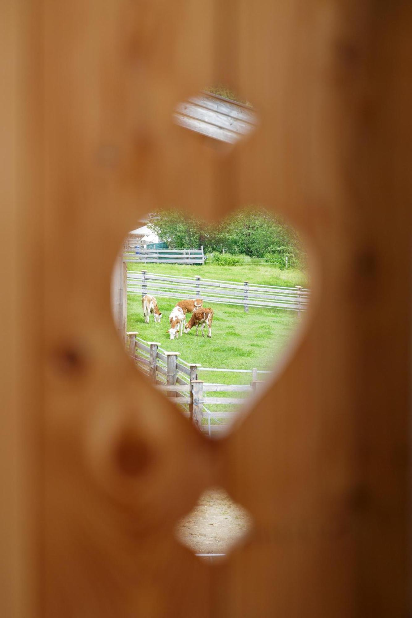 Am Bauernhof, Korbingerhof Apartmán Rinn