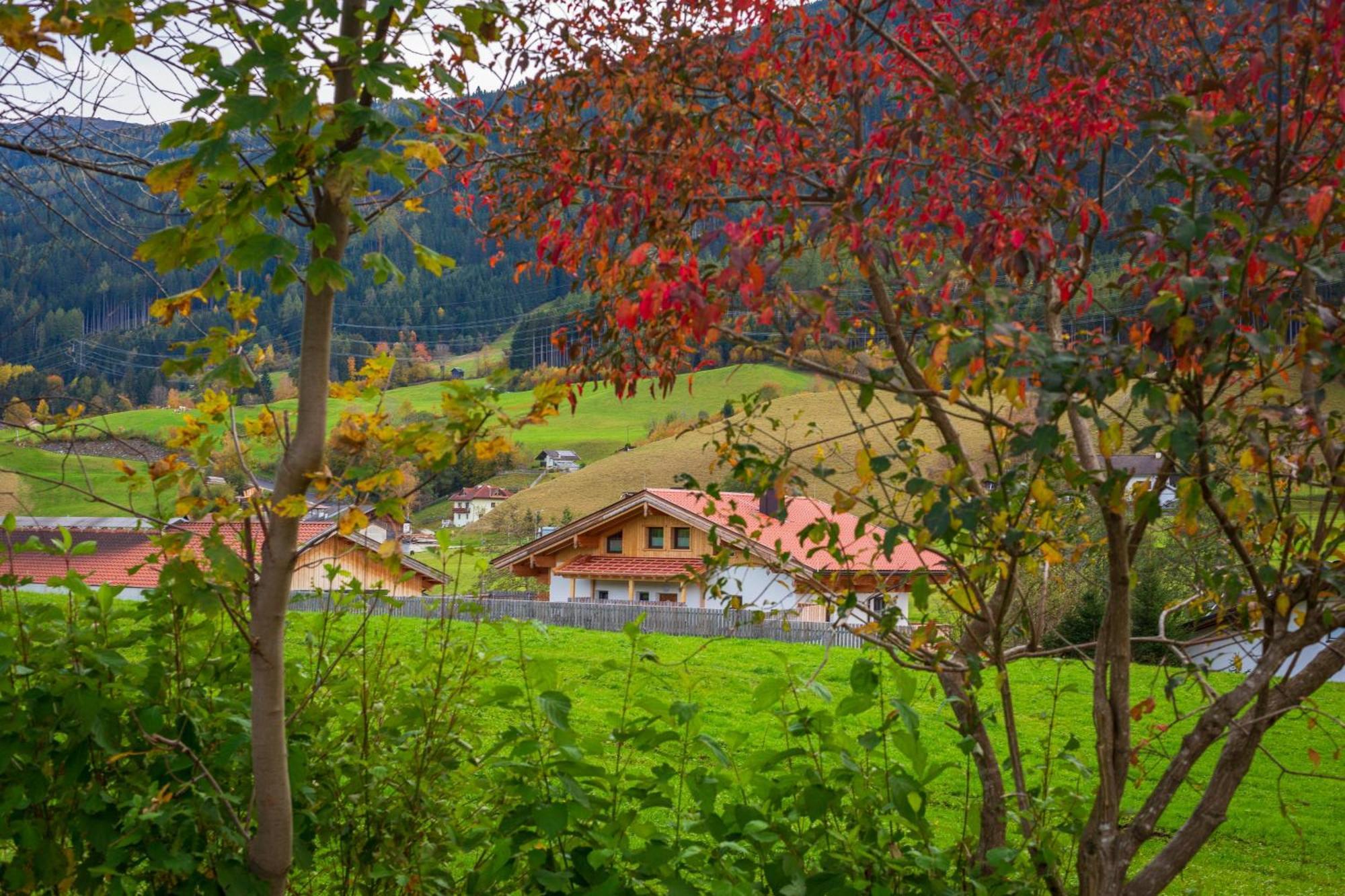 Am Bauernhof, Korbingerhof *